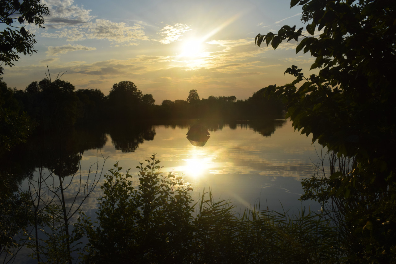 29. DSC 0195